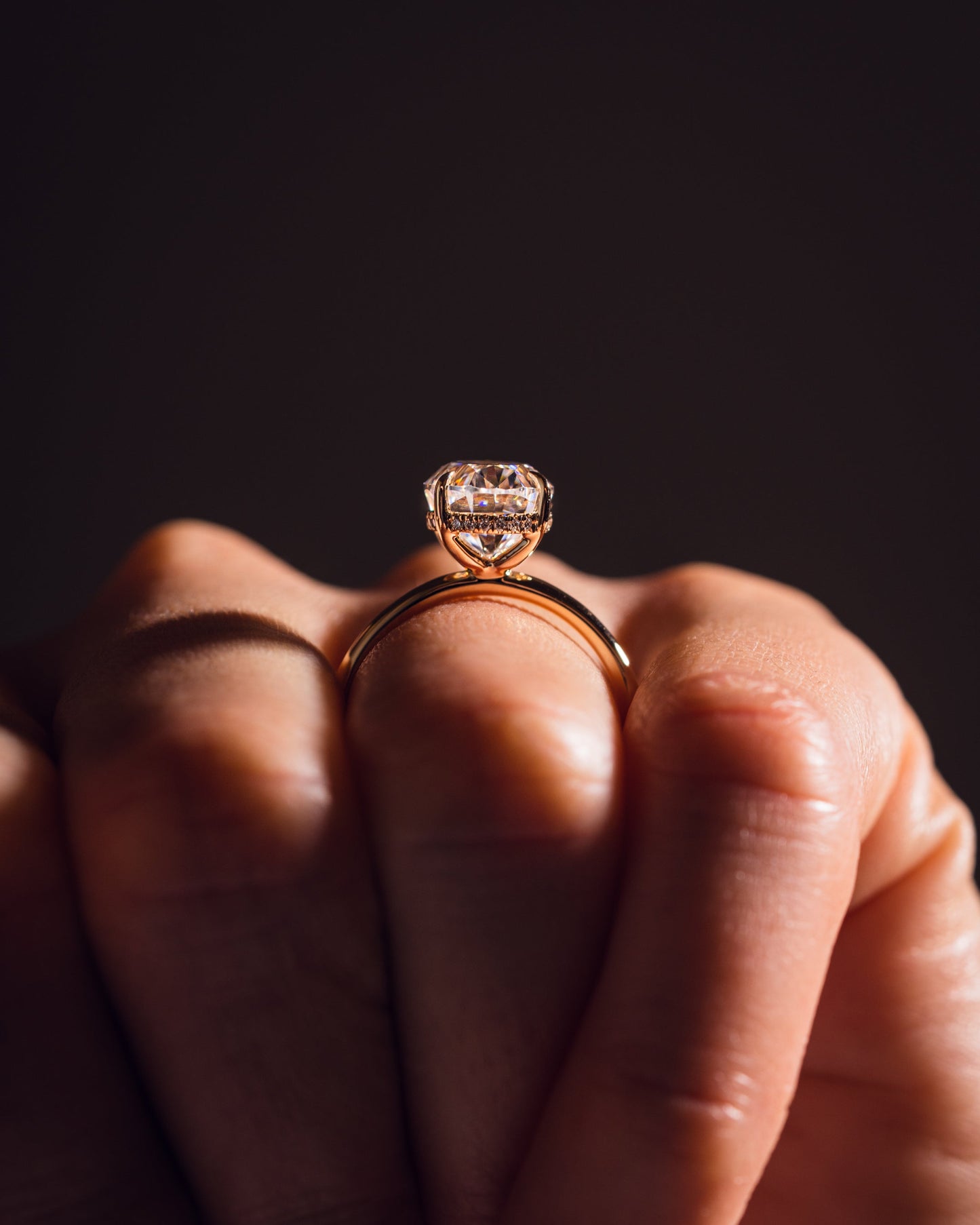 Harley - Oval | Gold 18k